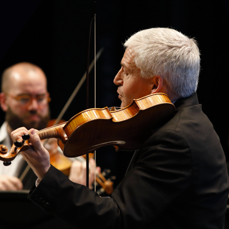 Les 24 Violons du Roy Centre de musique baroque de Versailles